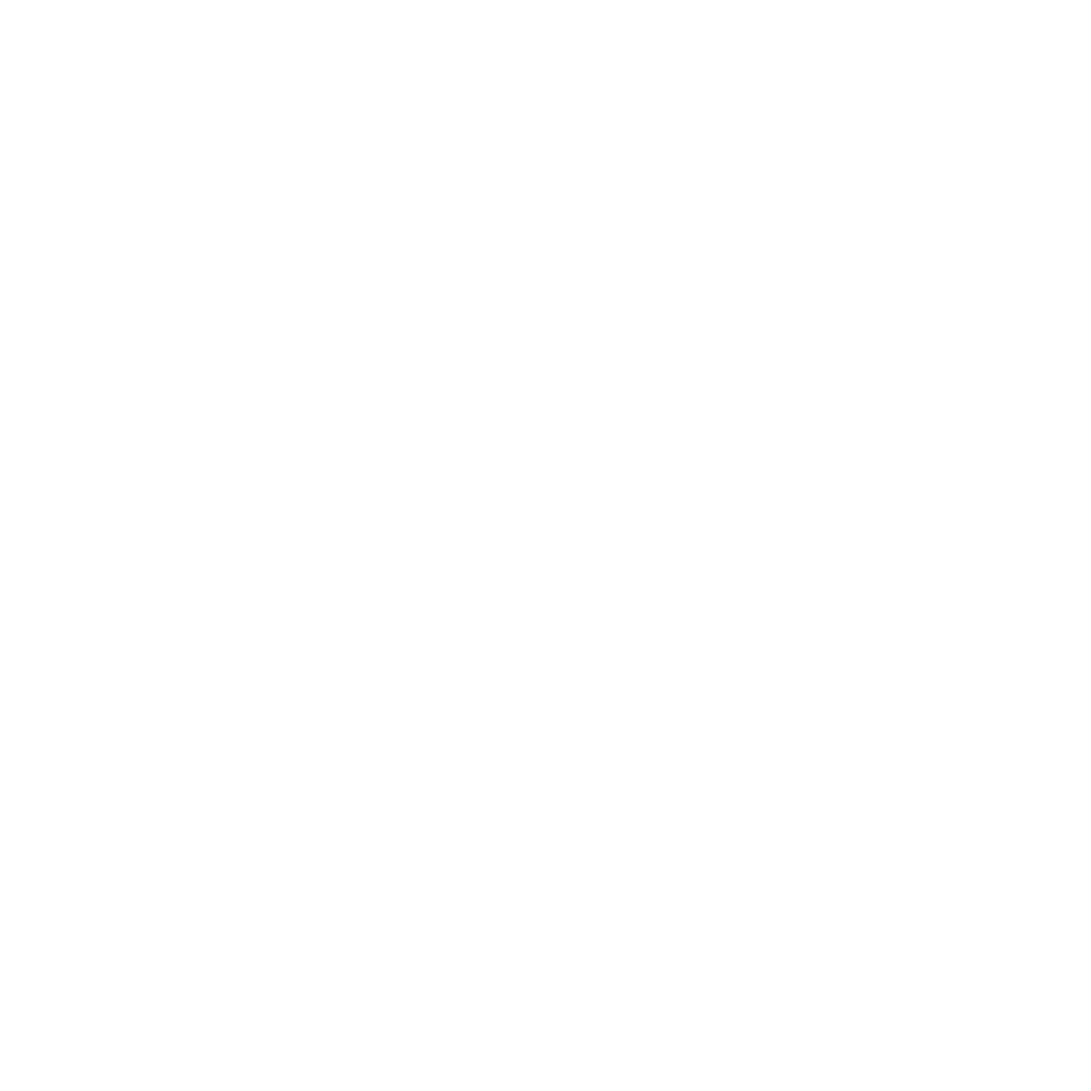 Phoenix95